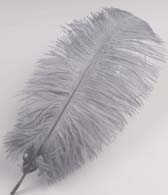 Strucctoll 55-60 cm - MEDIUM GREY #68